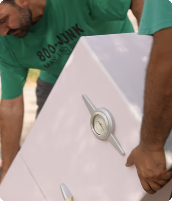 The Environmental Impact Of Junk